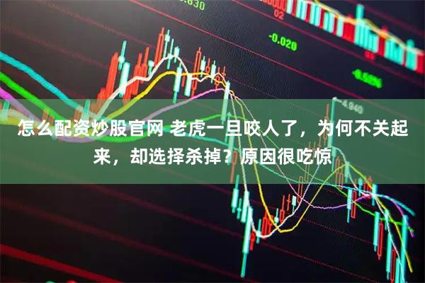 怎么配资炒股官网 老虎一旦咬人了，为何不关起来，却选择杀掉？原因很吃惊