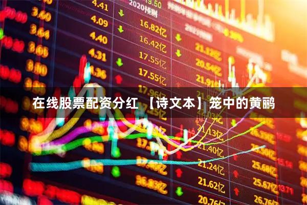 在线股票配资分红 【诗文本】笼中的黄鹂