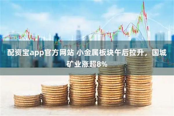 配资宝app官方网站 小金属板块午后拉升，国城矿业涨超8%