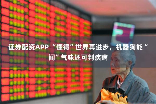 证券配资APP “懂得”世界再进步，机器狗能“闻”气味还可判疾病